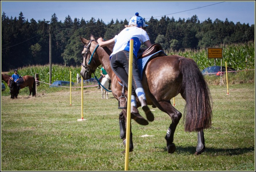 Mounted Games 053